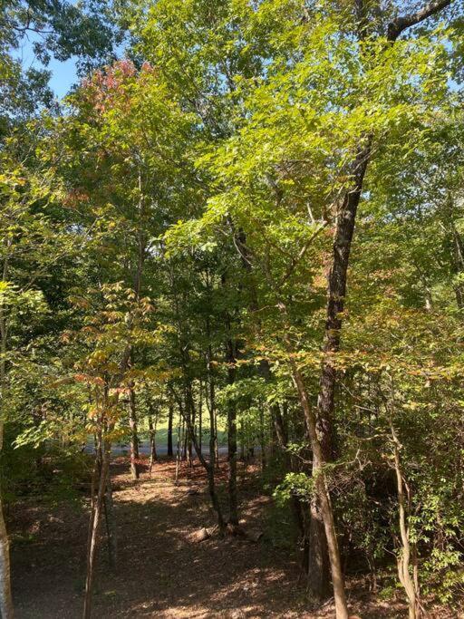 Helen, Ga Bear Paw Haus别墅 外观 照片